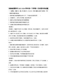 河南省濮阳市2023-2024学年高一下学期5月份联考考生物试卷（解析版）