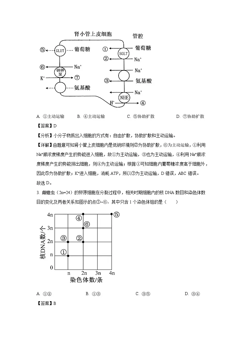 河南省名校学术联盟2025届高三下学期模拟冲刺生物试卷(解析版)第2页