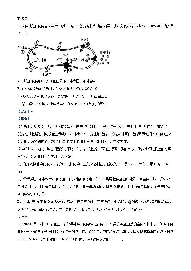 安徽省池州市2025届高三下学期教学质量统一监测(二模)生物学试题 含解析第2页