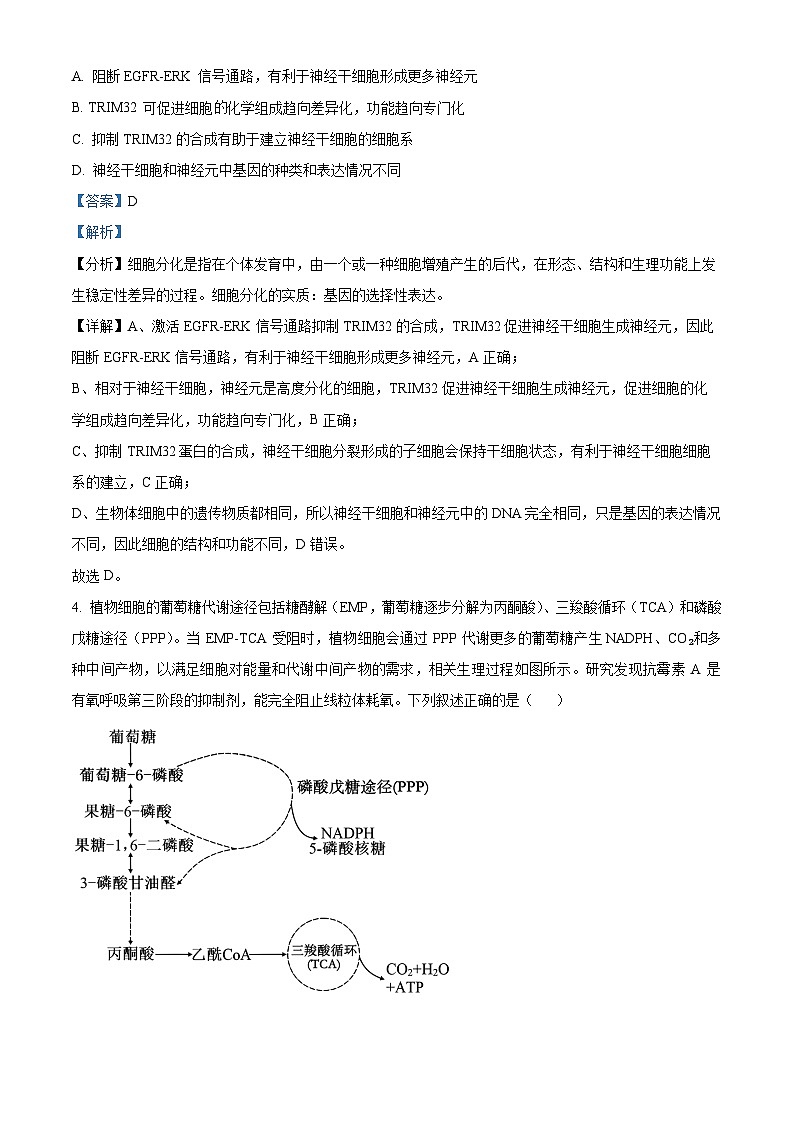安徽省池州市2025届高三下学期教学质量统一监测(二模)生物学试题 含解析第3页