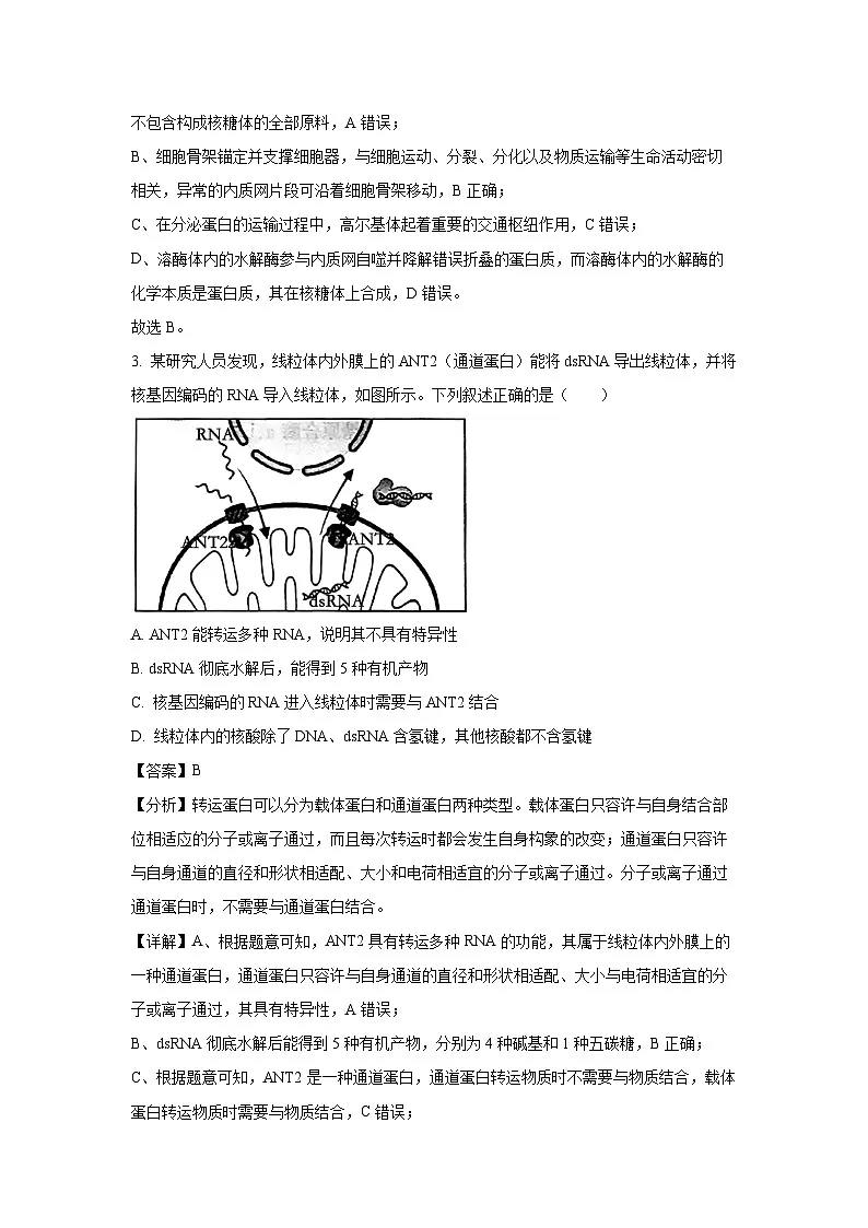 河北省邯郸市部分学校2024-2025学年高三下学期2月月考生物试卷(解析版)第2页