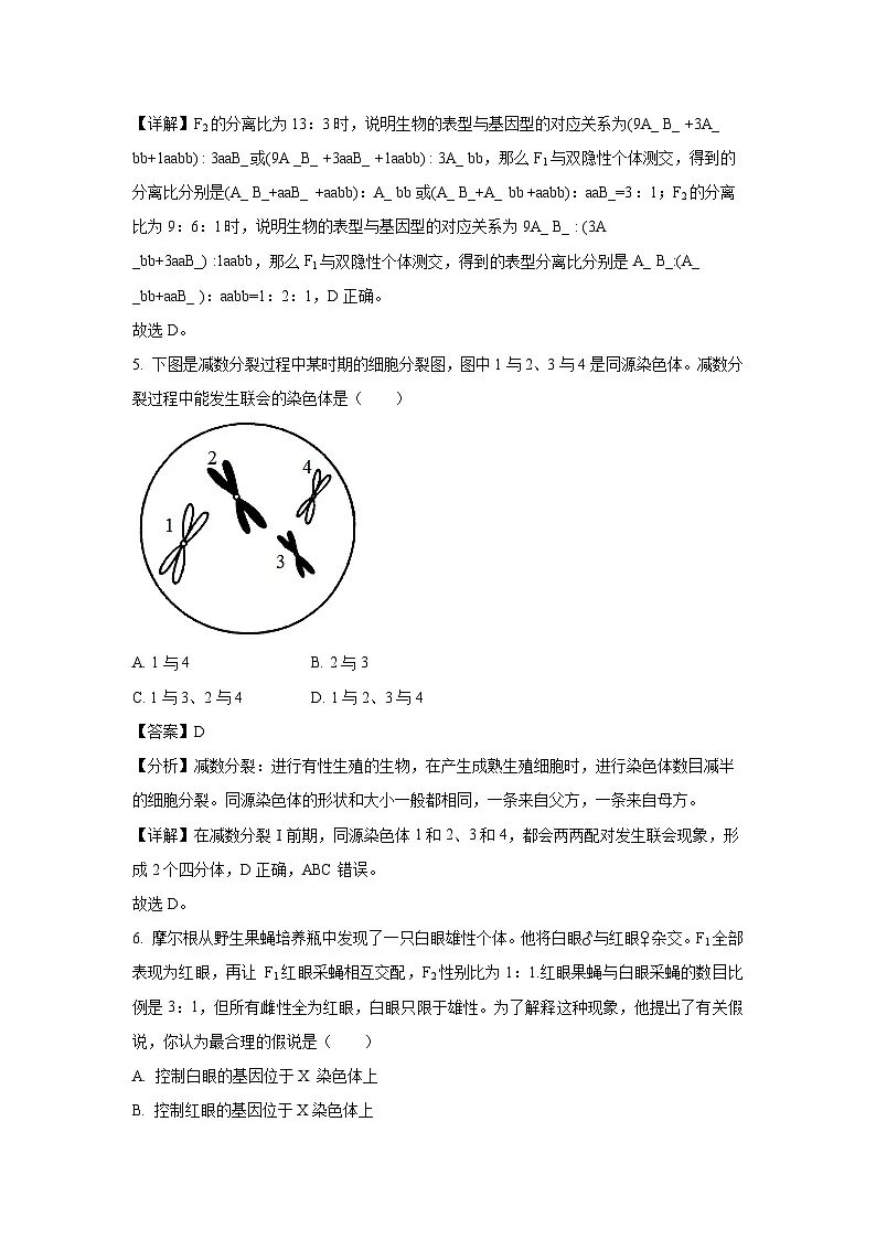 广西梧州市2023-2024学年高一下学期期末抽样检测生物试卷(解析版)第3页