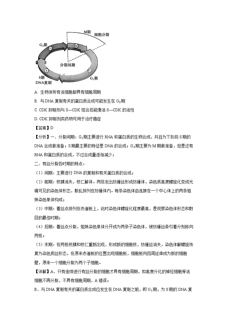 云南省保山市2024~2025学年高二上学期期末质量监测生物试卷(解析版)第3页