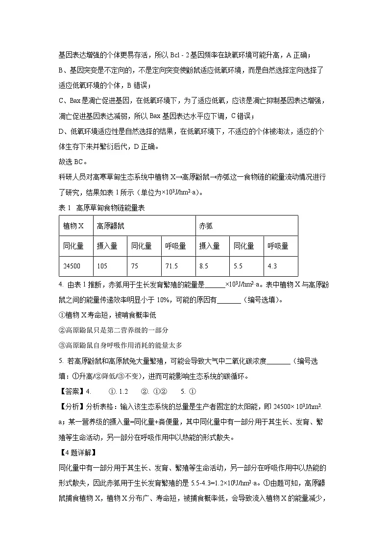 上海市徐汇区2024-2025学年高三下学期3月学习能力诊断卷生物试卷(解析版)第2页