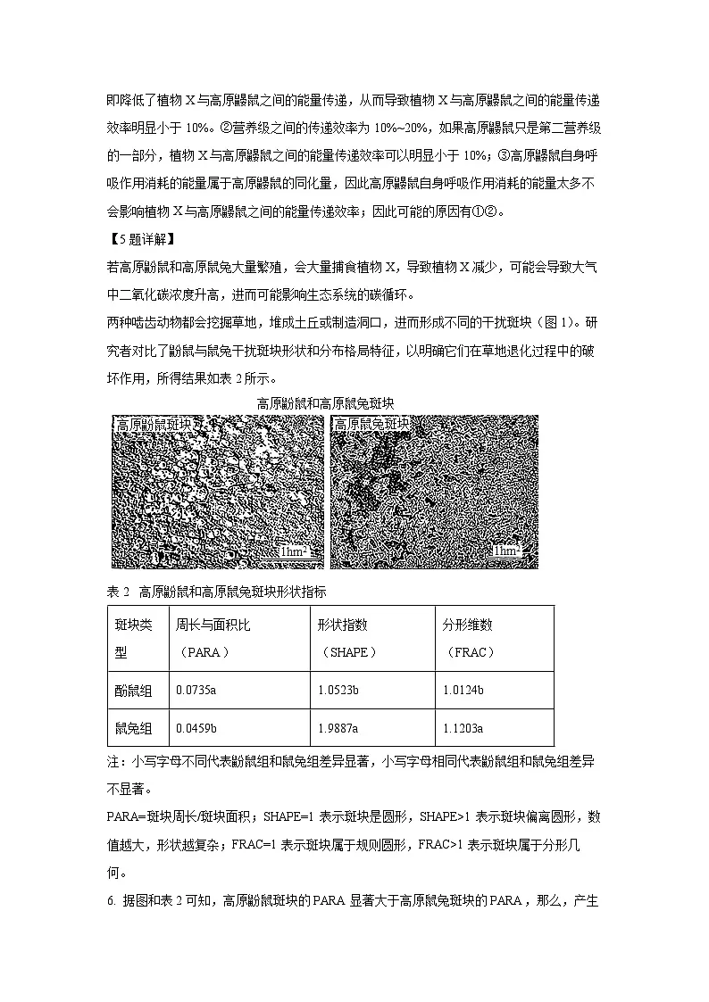 上海市徐汇区2024-2025学年高三下学期3月学习能力诊断卷生物试卷(解析版)第3页