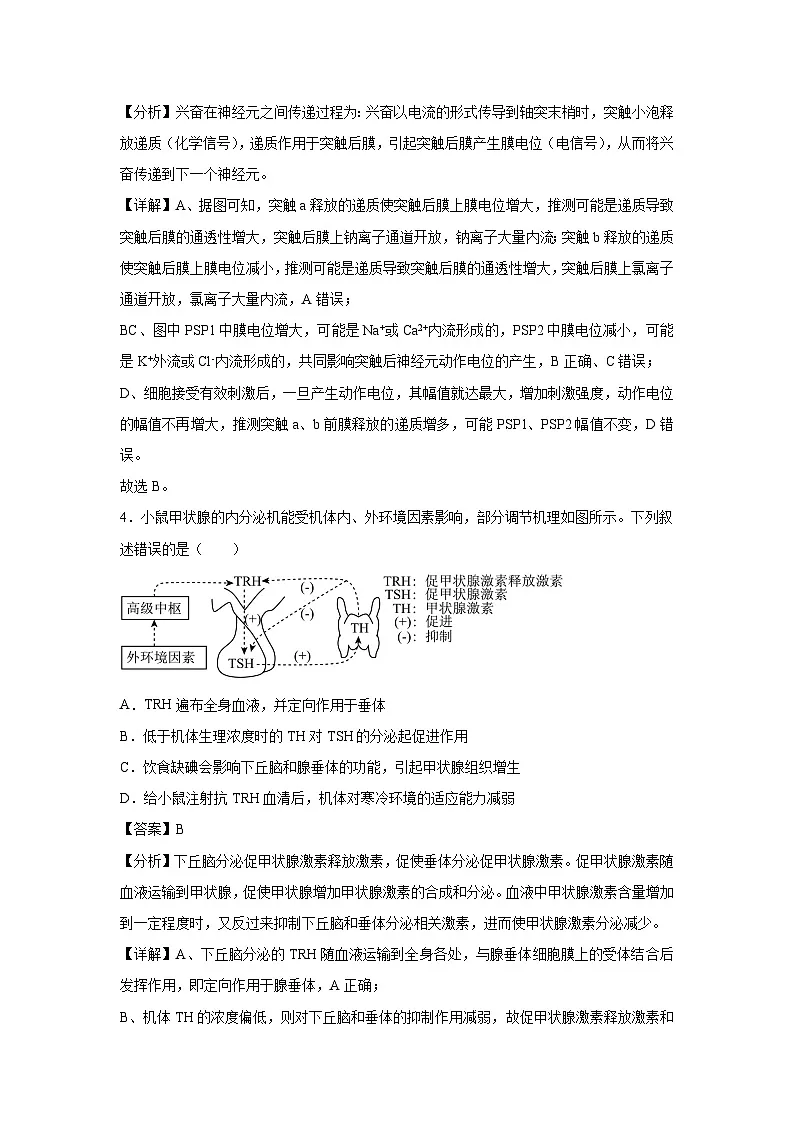 2024-2025学年高二生物上学期期末通关卷(北京专用)生物试卷(解析版)第3页