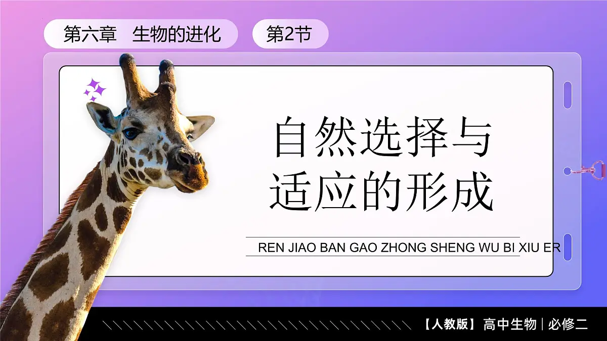 6.2 自然选择与适应的形成(教学课件)-2024-2025学年高一生物(人教版2019必修2)第1页