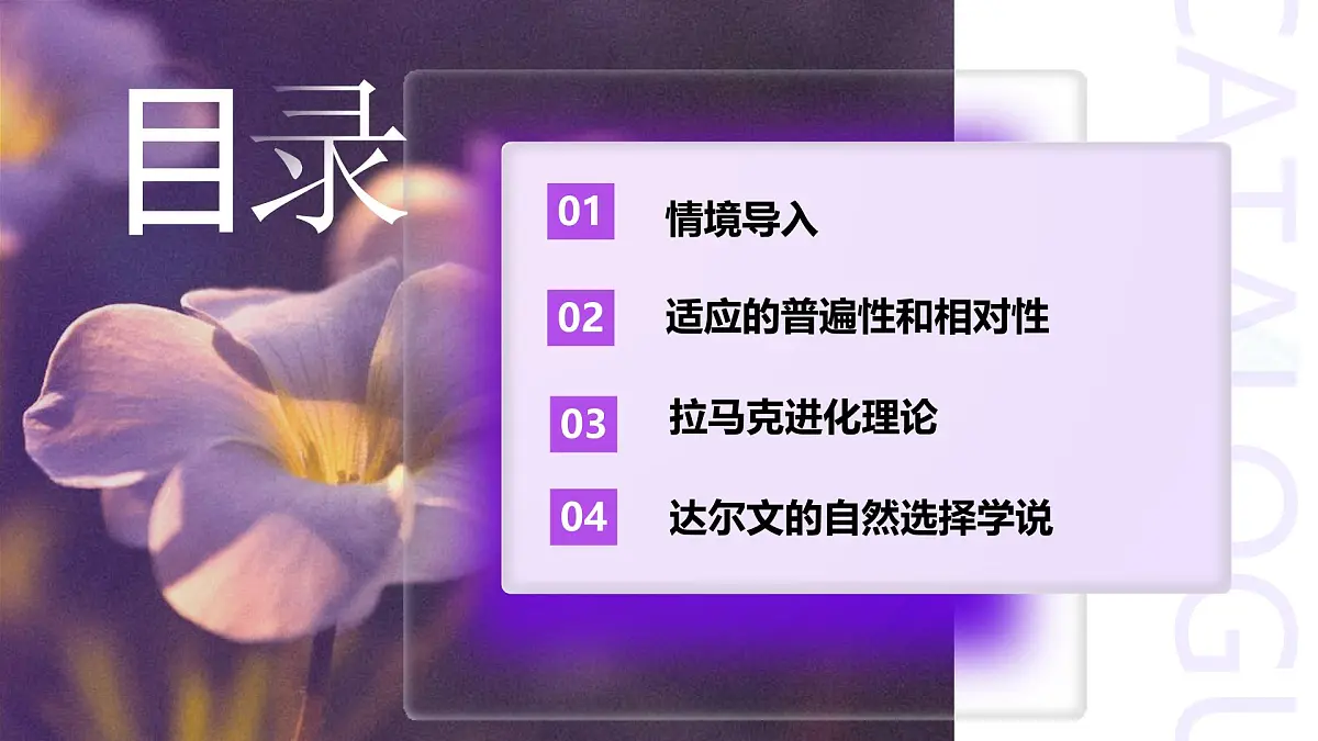 6.2 自然选择与适应的形成(教学课件)-2024-2025学年高一生物(人教版2019必修2)第2页