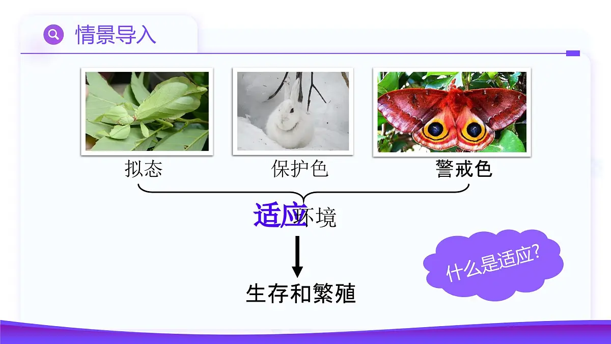 6.2 自然选择与适应的形成(教学课件)-2024-2025学年高一生物(人教版2019必修2)第5页