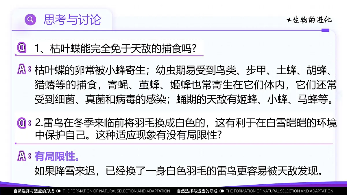 6.2 自然选择与适应的形成(教学课件)-2024-2025学年高一生物(人教版2019必修2)第8页