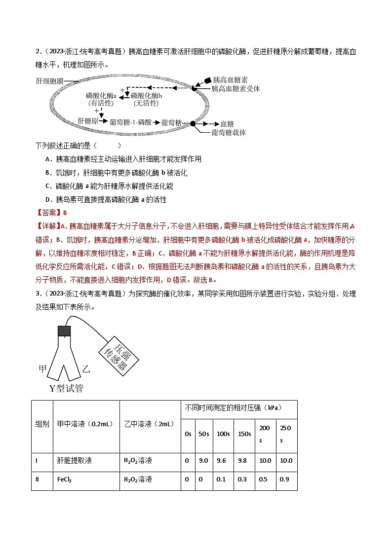 十年高考真题(2014-2023)分项汇编 生物 专题04 酶和ATP 含解析第2页