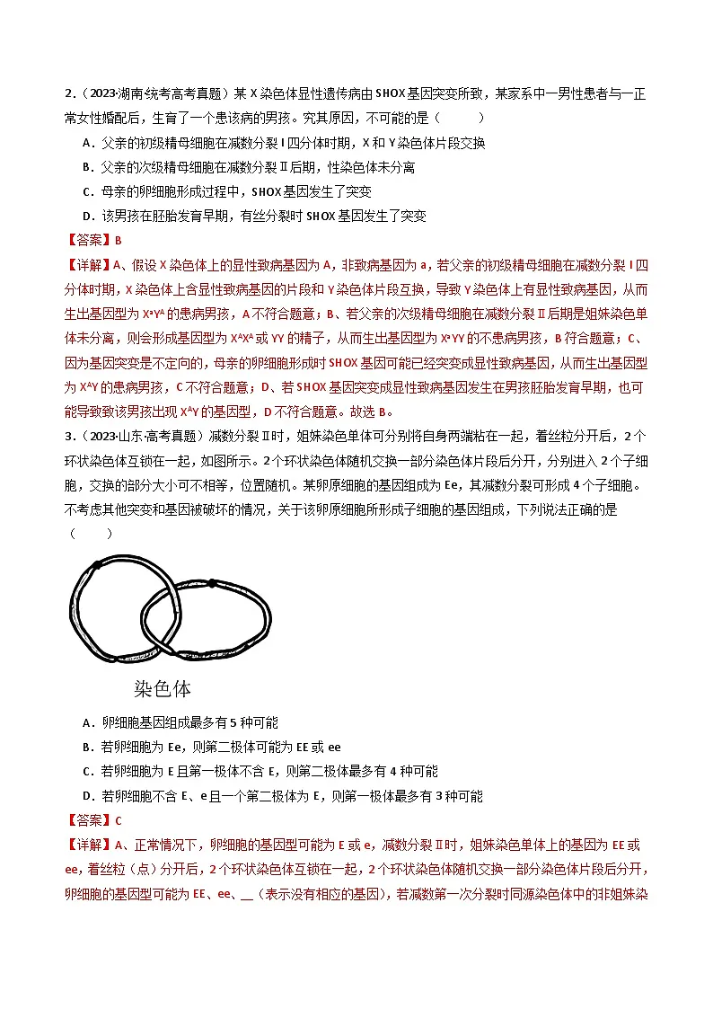 十年高考真题(2014-2023)分项汇编 生物 专题08 有丝分裂和减数分裂 含解析第2页