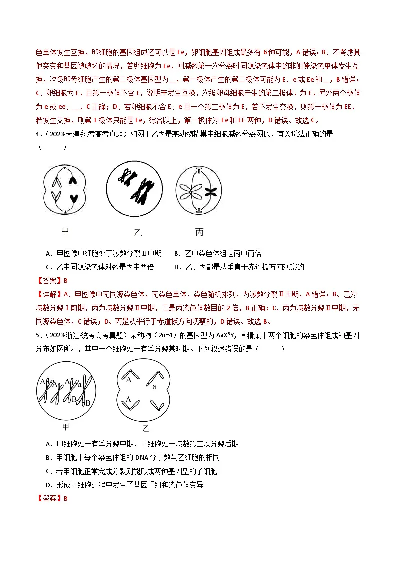 十年高考真题(2014-2023)分项汇编 生物 专题08 有丝分裂和减数分裂 含解析第3页