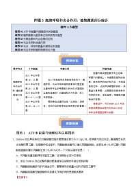 备战2025年高考生物抢押秘籍(山东专用)押题03细胞呼吸和光合作用、植物激素部分综合(学生版+解析)练习