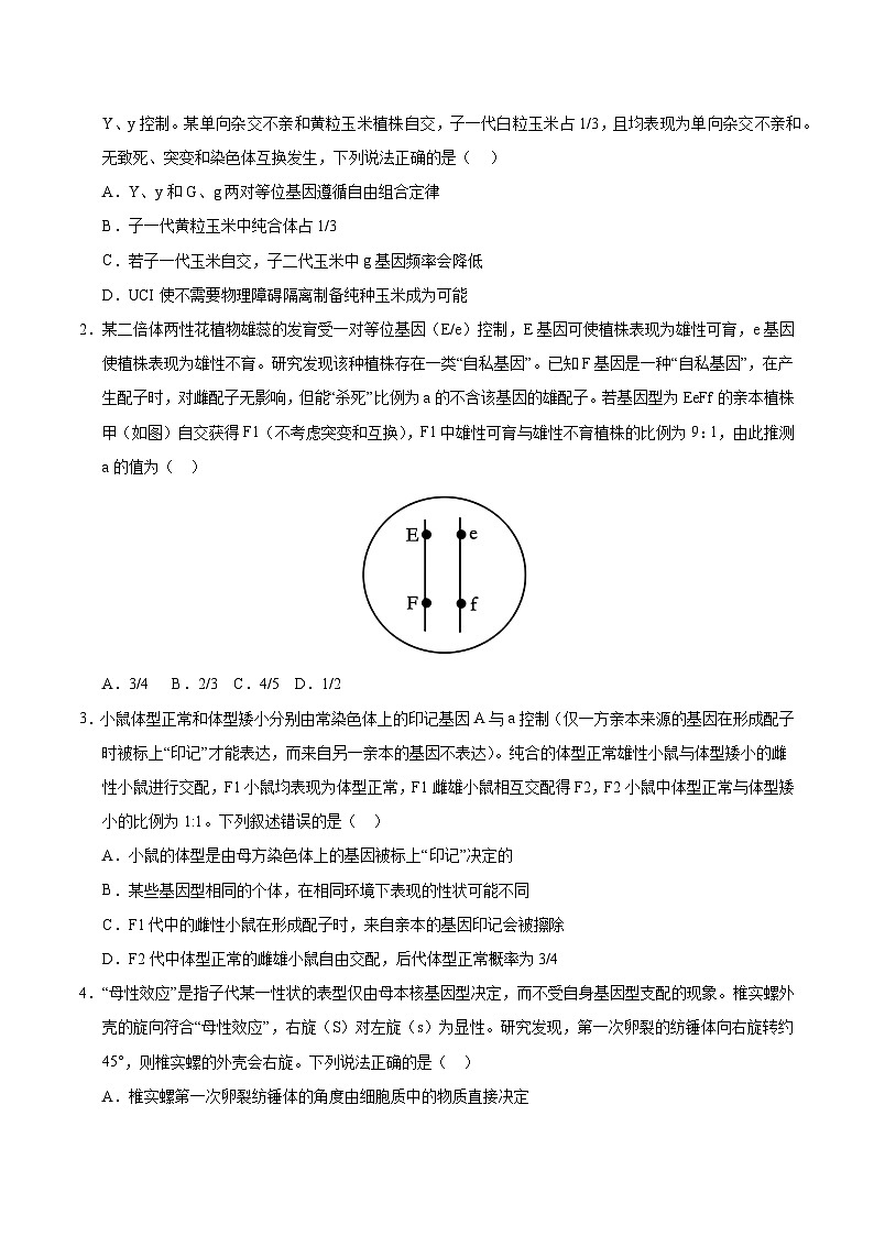 备战2025年高考生物抢押秘籍(山东专用)押题05分离定律和自由组合定律经典常考题型(学生版)第2页