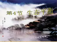 2.3.5 生態(tài)系統(tǒng)的穩(wěn)定性 課件 人教版高中生物選擇性必修2