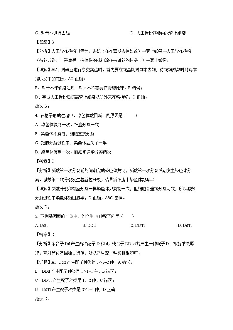 广西南宁市桂鼎学校2024-2025学年高一下学期3月月考生物试卷(解析版)第2页