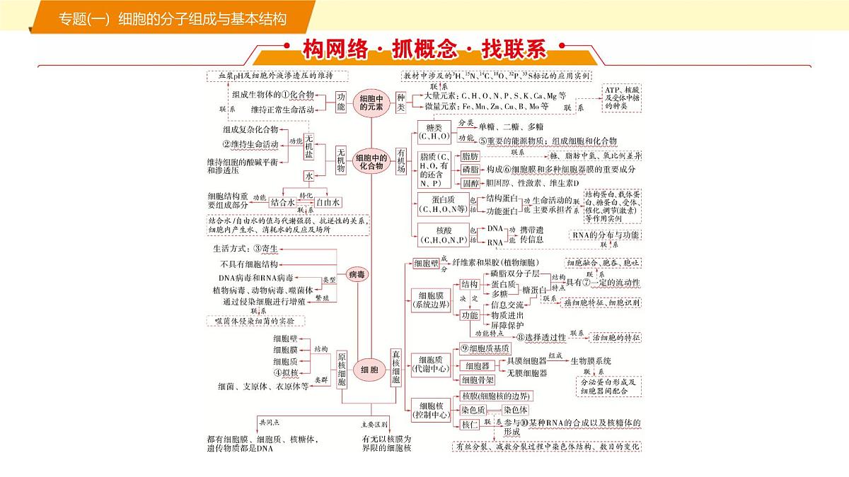 2025年高考生物二轮专题复习课件 01 第一部分 模块一 专题(一) 细胞的分子组成与基本结构第2页