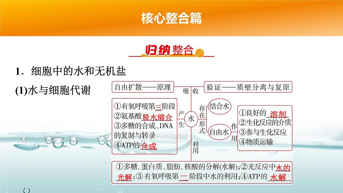 2025年高考生物二轮专题复习课件 01 第一部分 模块一 专题(一) 细胞的分子组成与基本结构第4页