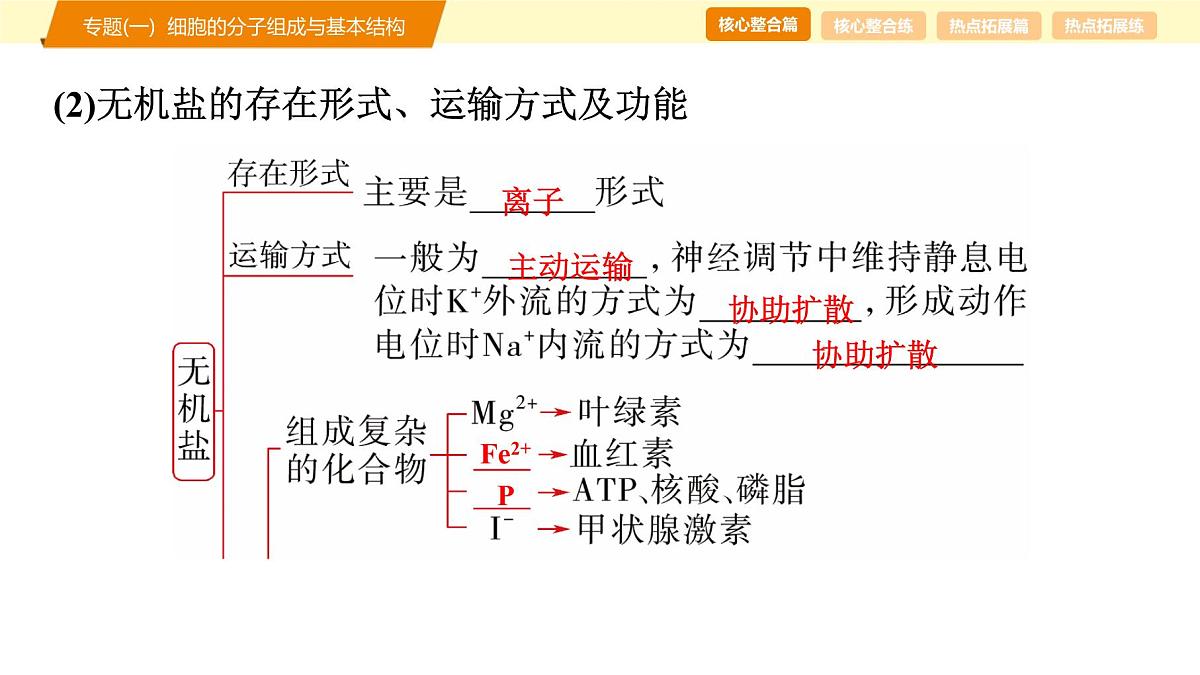 2025年高考生物二轮专题复习课件 01 第一部分 模块一 专题(一) 细胞的分子组成与基本结构第5页