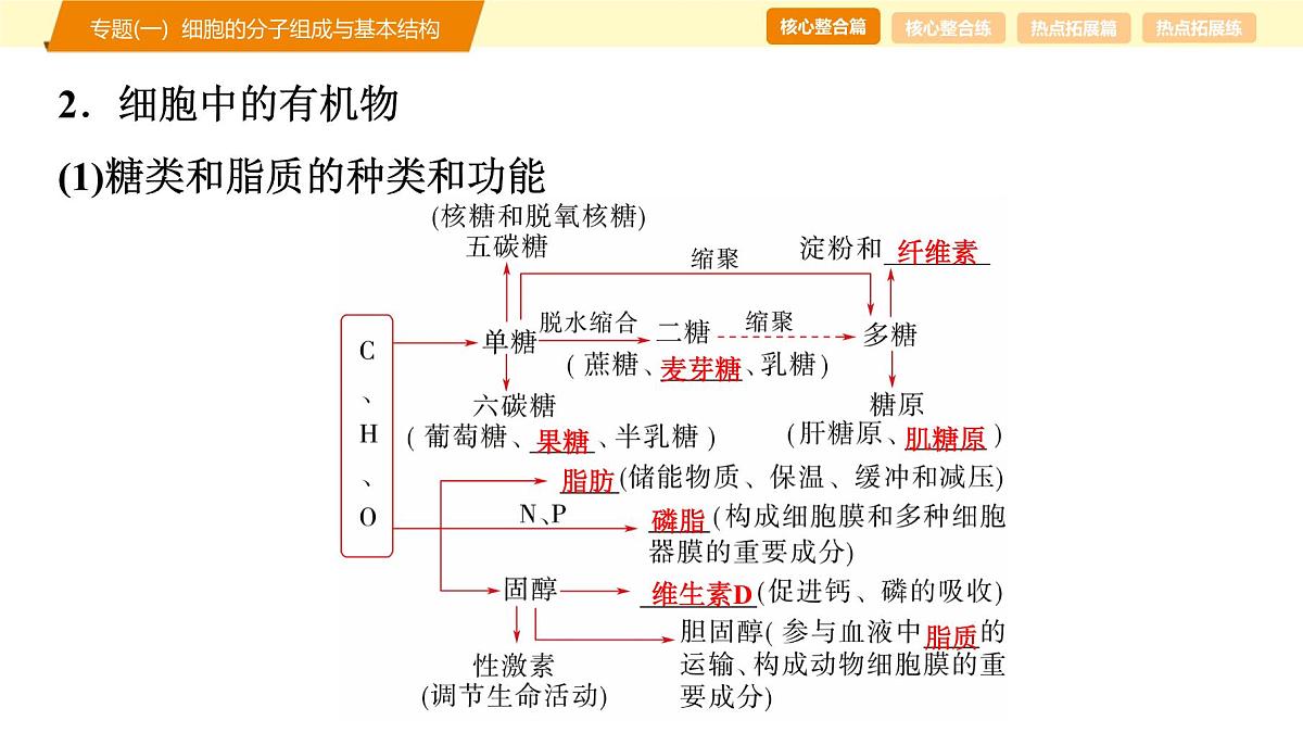 2025年高考生物二轮专题复习课件 01 第一部分 模块一 专题(一) 细胞的分子组成与基本结构第7页