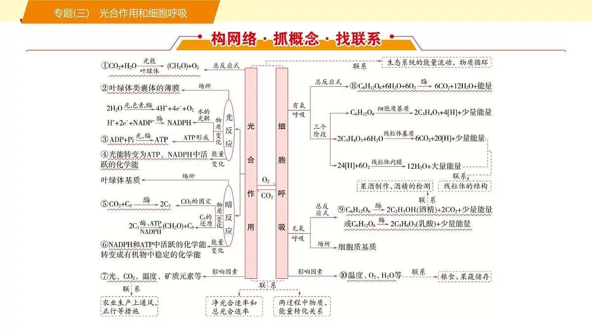 2025年高考生物二轮专题复习课件 03 第一部分 模块一 专题(三) 光合作用和细胞呼吸第2页