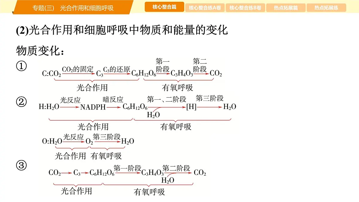 2025年高考生物二轮专题复习课件 03 第一部分 模块一 专题(三) 光合作用和细胞呼吸第5页