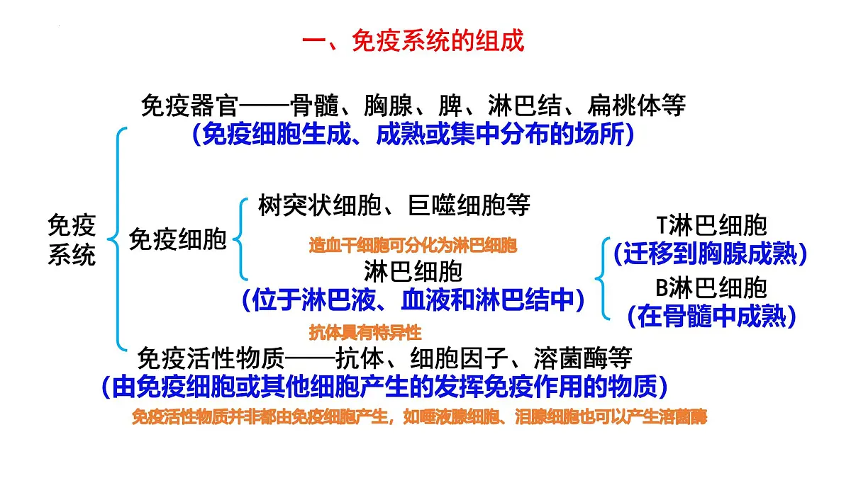 2025届高三生物一轮复习课件:免疫调节+第2页