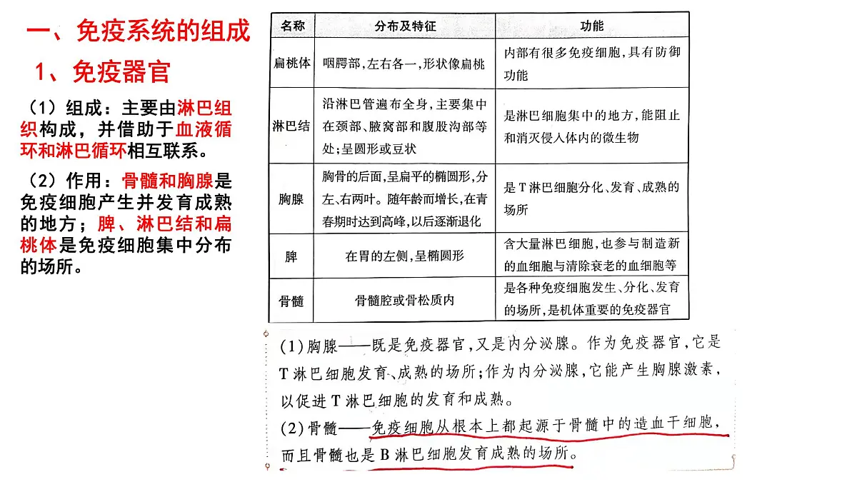 2025届高三生物一轮复习课件:免疫调节+第3页