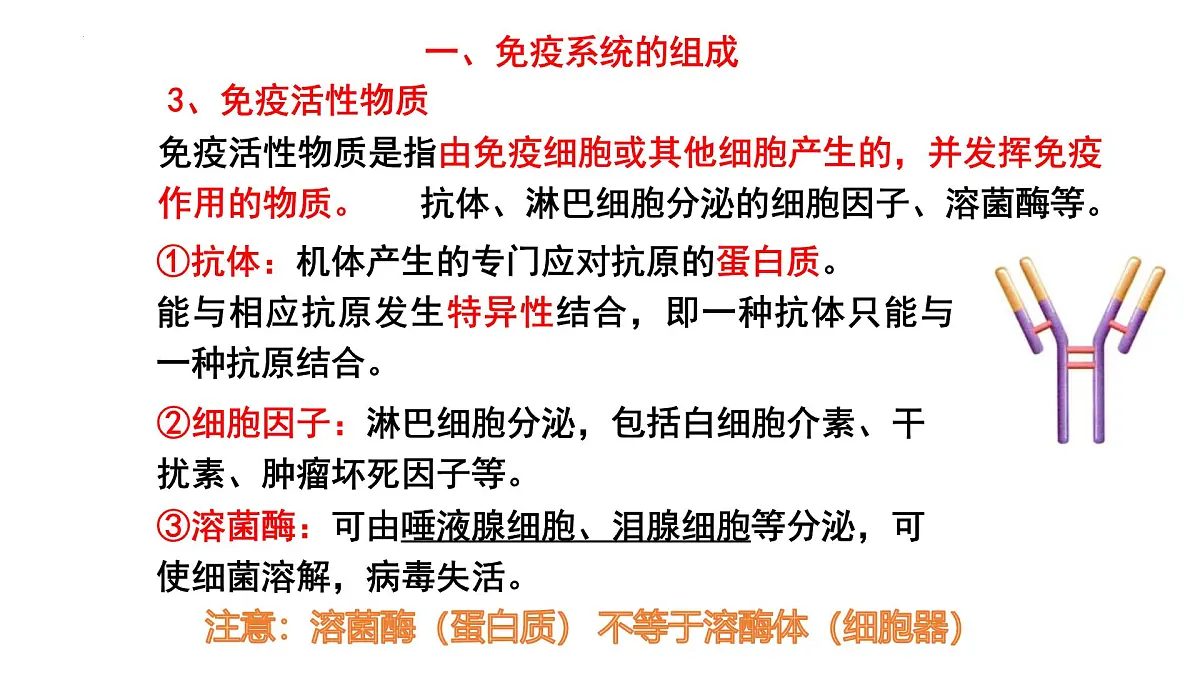 2025届高三生物一轮复习课件:免疫调节+第5页