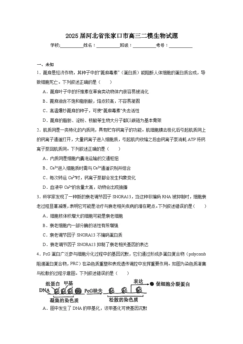 2025届河北省张家口市高三二模生物试题(无答案)第1页