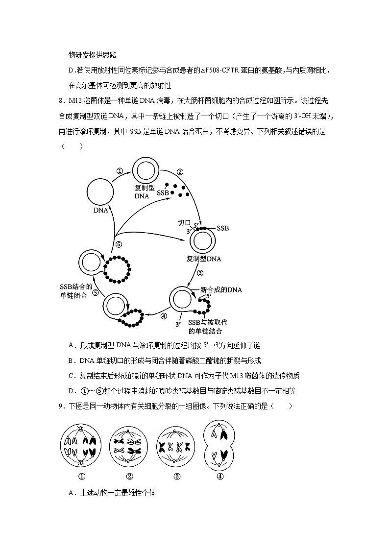 2025届湖北省十堰市高三下学期4月调研考试生物试卷(无答案)第3页