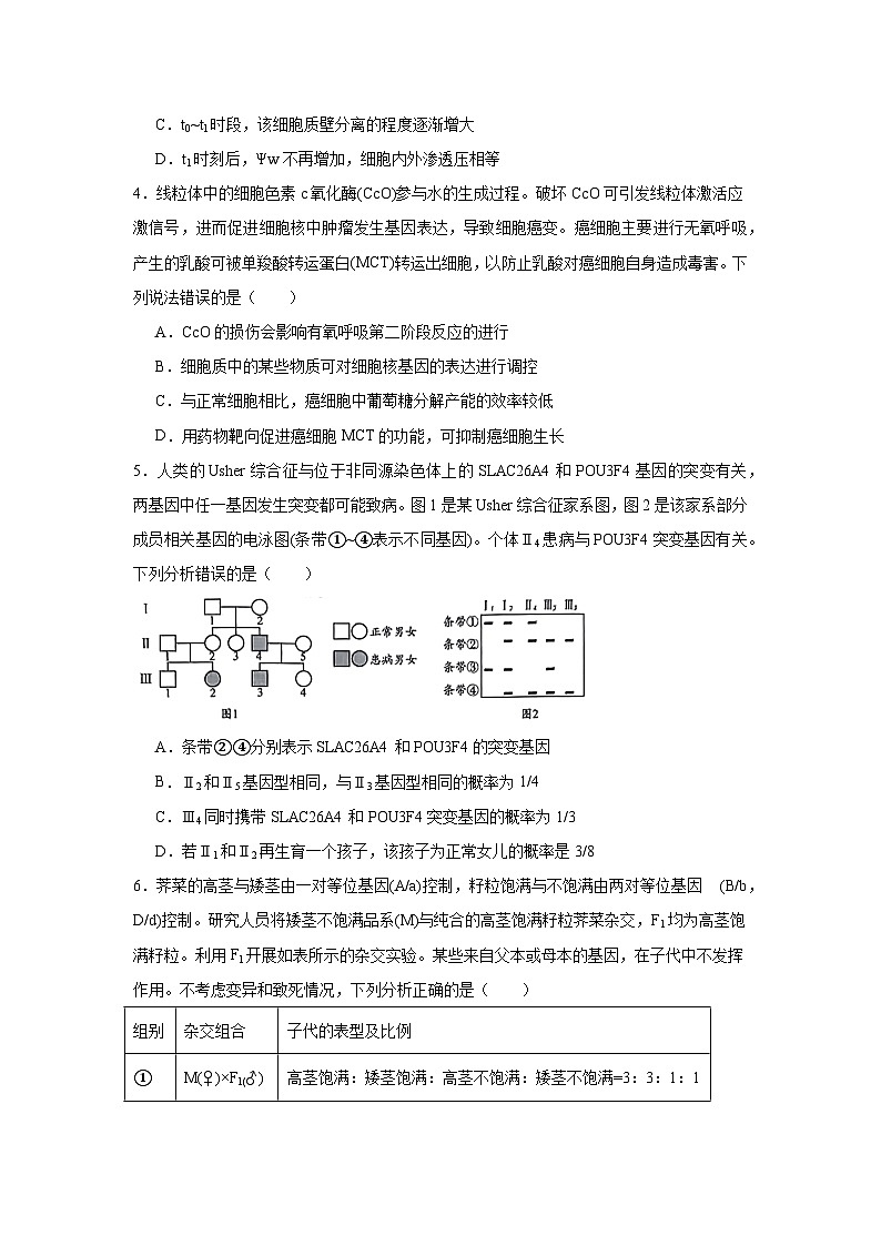 2025届山东省日照市高三二模考试生物试卷(无答案)第2页
