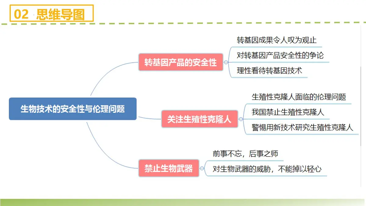 第4章 生物技术的安全性与伦理问题(章末复习课件)-2024-2025学年高二生物(人教版2019选择性必修3)第4页