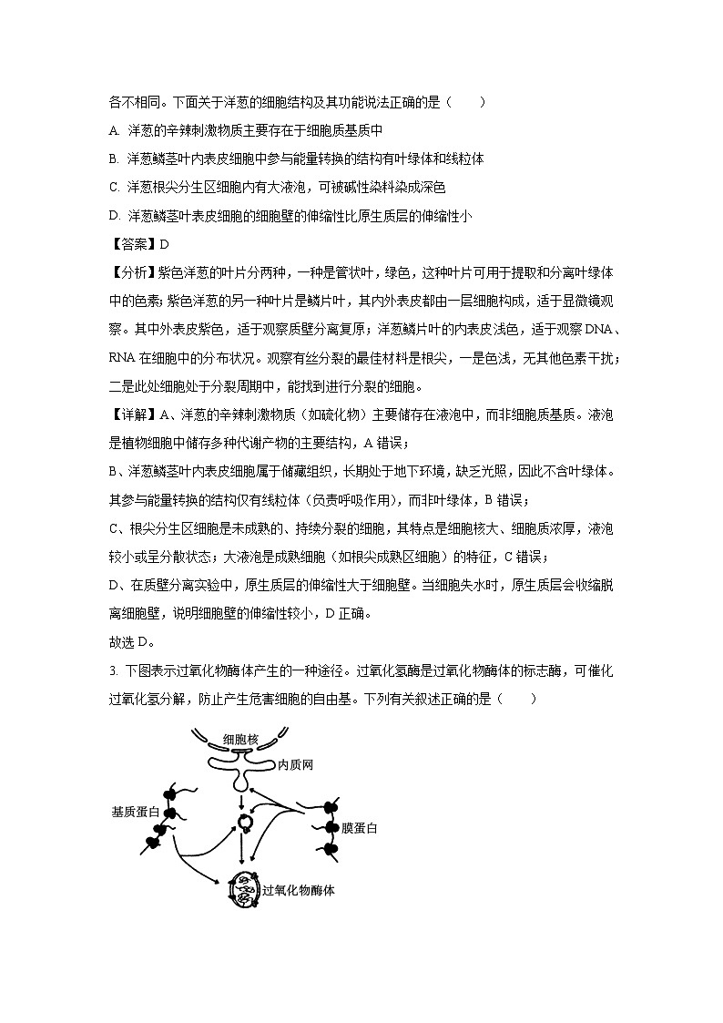 陕西省渭南市2025届高三二模生物生物试题(解析版)第2页