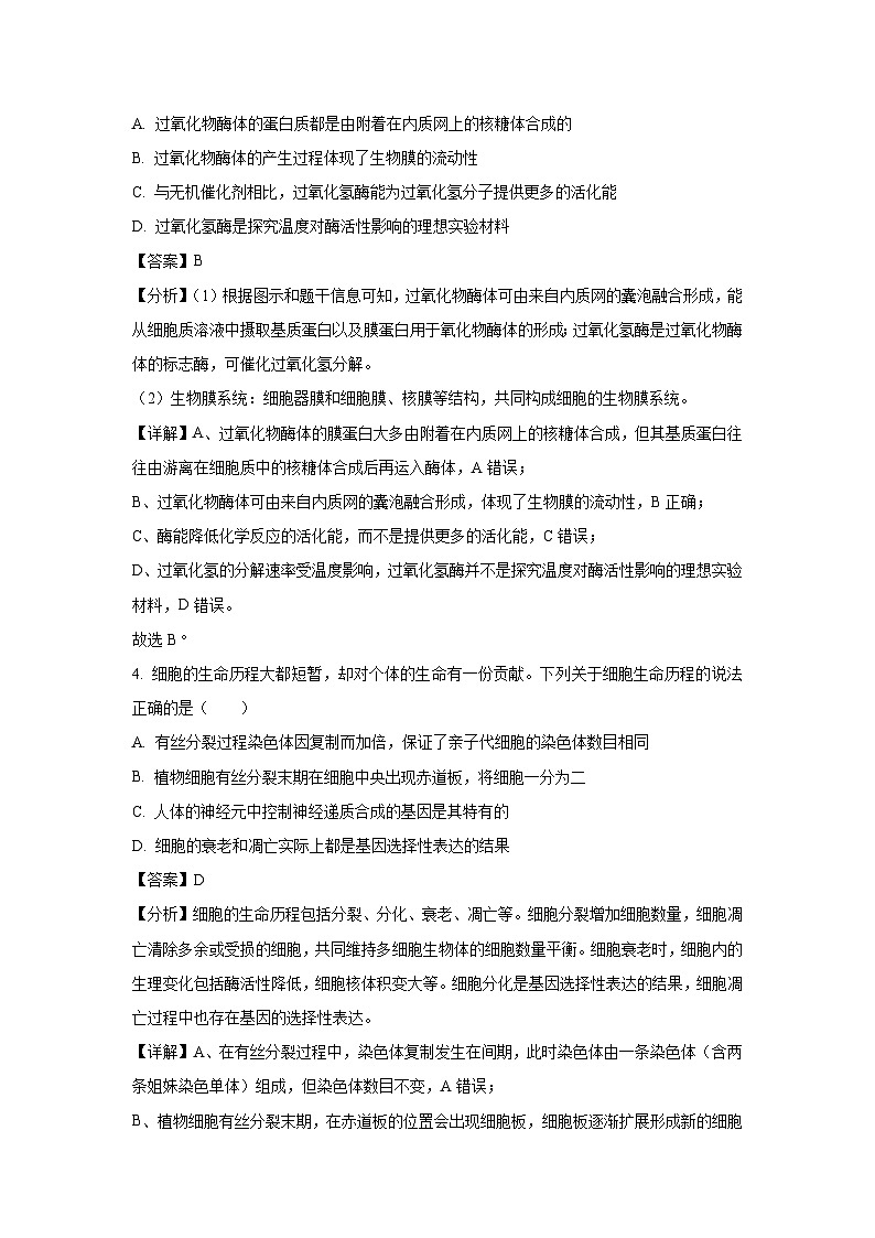 陕西省渭南市2025届高三二模生物生物试题(解析版)第3页