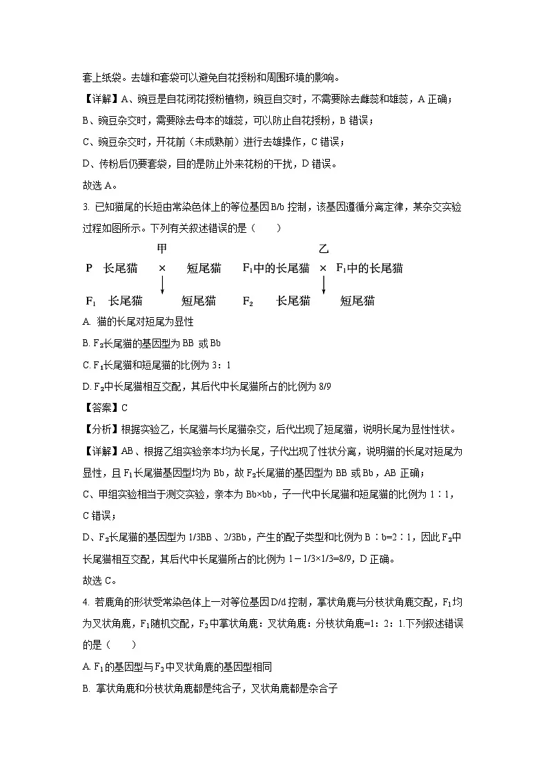 河南省洛阳市强基联盟2024-2025学年高一下学期3月月考生物试题(解析版)第2页