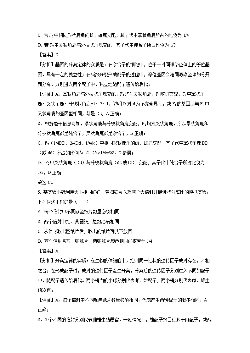 河南省洛阳市强基联盟2024-2025学年高一下学期3月月考生物试题(解析版)第3页