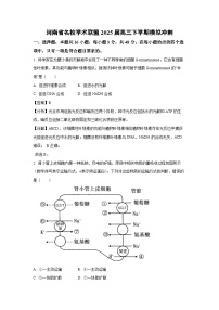 河南省名校学术联盟2025届高三下学期模拟冲刺生物（解析版）