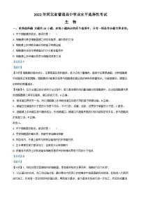 2022年高考真题——生物（河北卷） 含解析