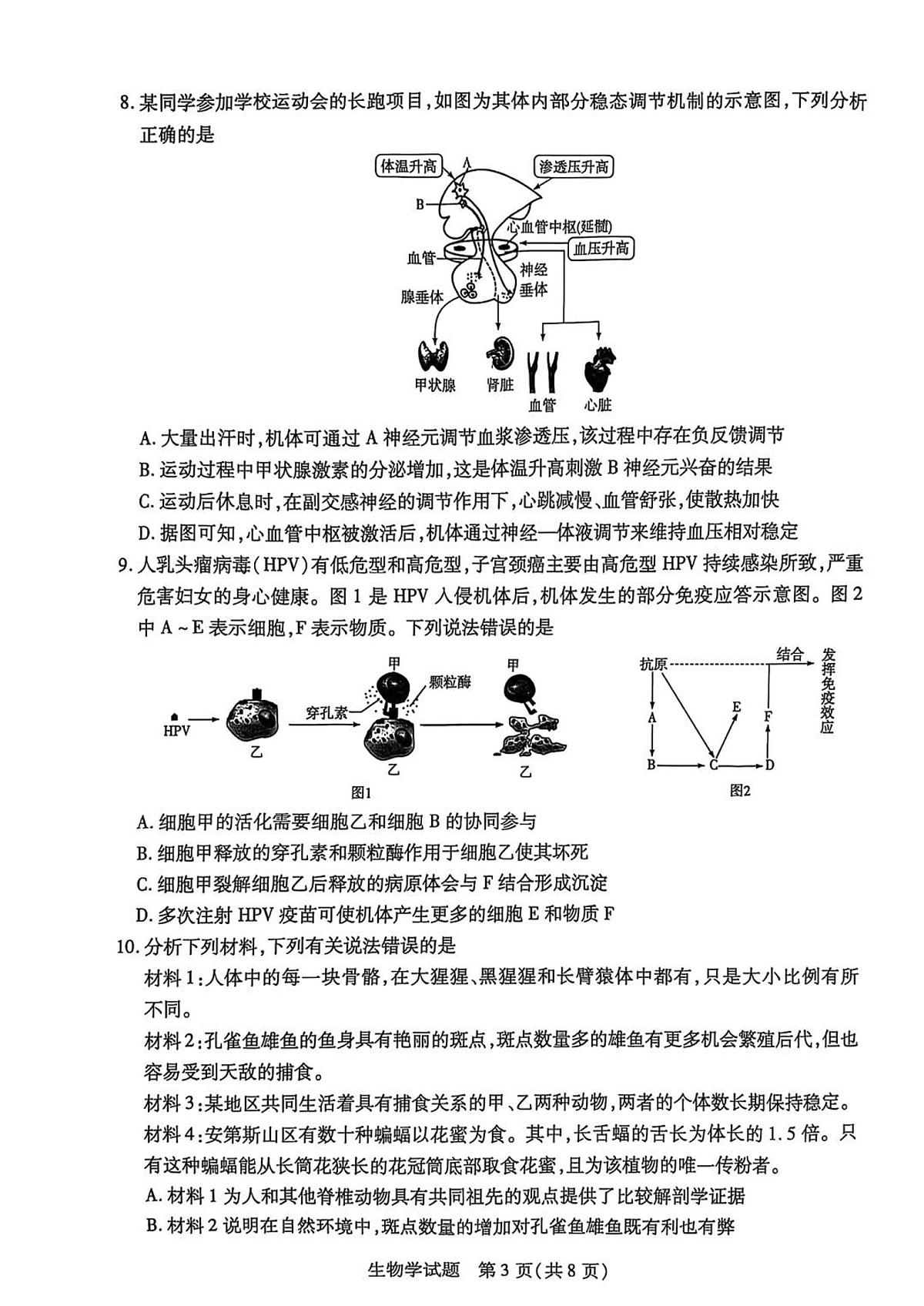安徽卓越县中联盟2025届高三下学期5月检测-生物试题+答案第3页