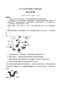 2025年高考第三次模拟考试卷:生物(北京卷)(考试版)
