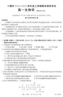 湖北省十堰市2023-2024学年高一上学期期末 生物试卷（含答案）