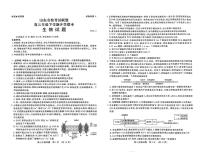 山东省名校考试联盟2023-2024学年高三下学期开学考 生物试卷（含答案）