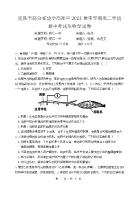 湖北省宜昌市部分省级示范高中2024-2025学年高二下学期4月期中生物试题（Word版附答案）