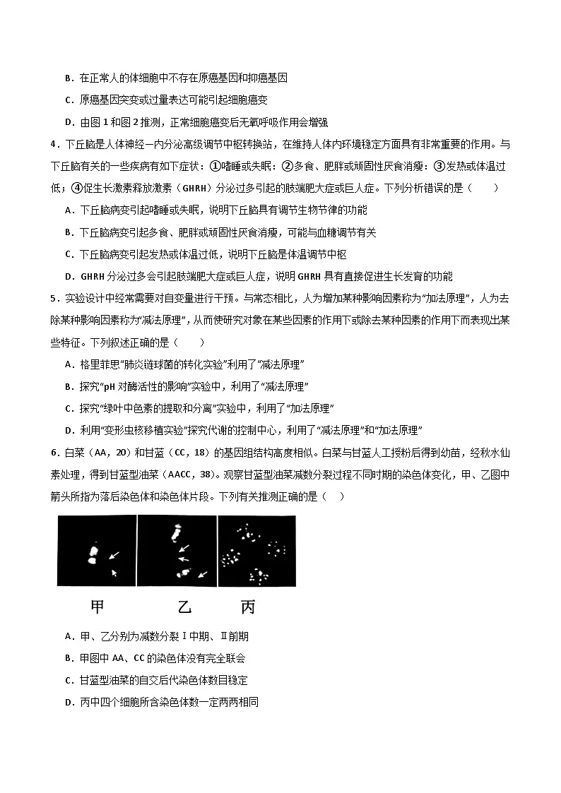 2025年高考第三次模拟考试卷:生物(福建卷)(考试版)第2页