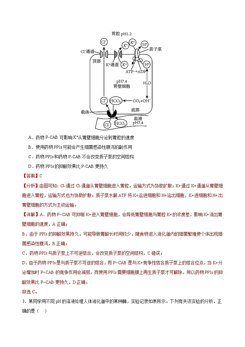 2025年高考第三次模拟考试卷:生物(甘肃卷)(解析版)第2页