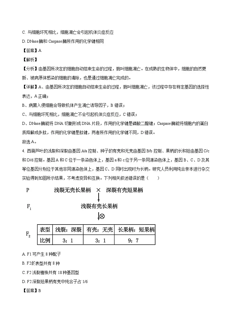 2024-2025学年湖北省部分学校高二生物下学期6月月考模拟试题(附答案)第3页