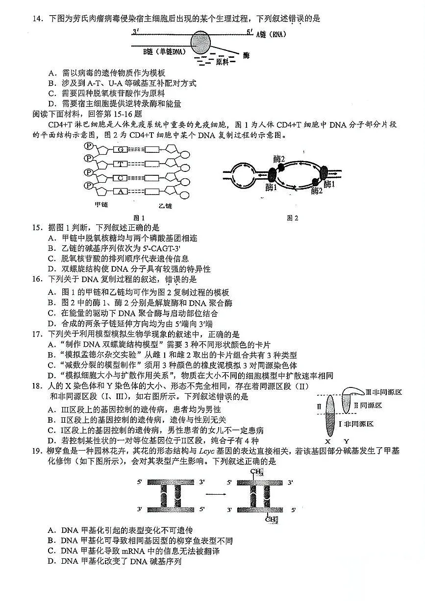 浙江省91高中联盟2024-2025学年高一下学期4月期中考试生物试卷(PDF版附答案)第3页