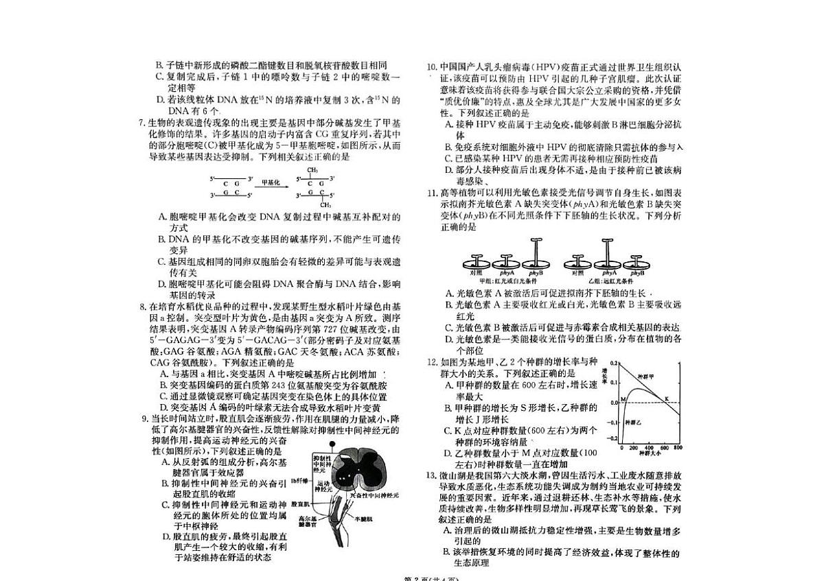 2025届甘肃省金昌市金川高级中学高三一模生物试题(高考模拟)第2页